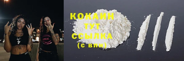 мдпв Лихославль