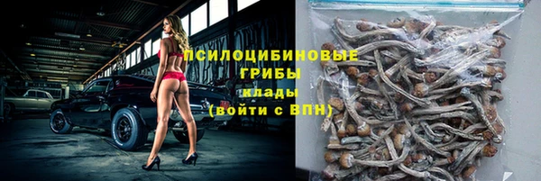 мдпв Лихославль