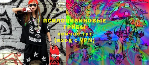 мдпв Лихославль