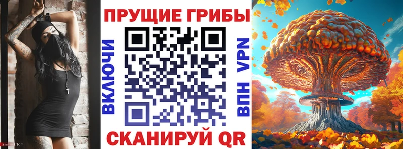 купить Нязепетровск Галлюциногенные грибы прущие грибы